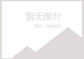 福建紫山能源有限公司